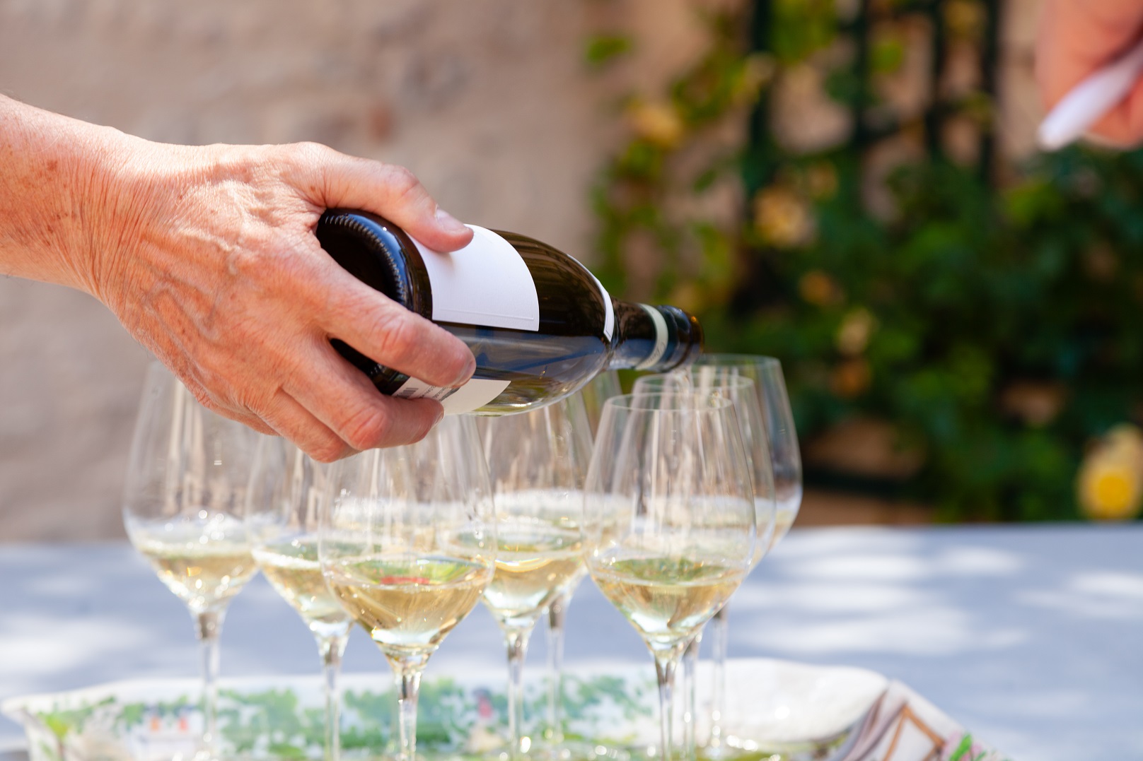 dégustation vin blanc