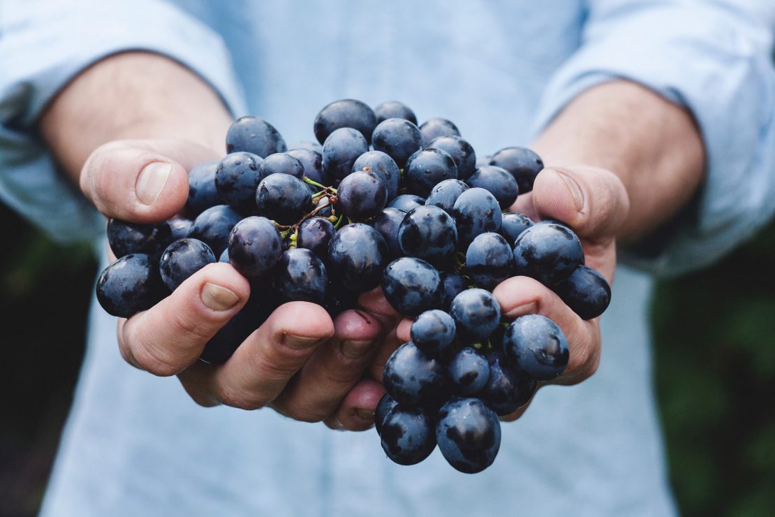 raisin rouge