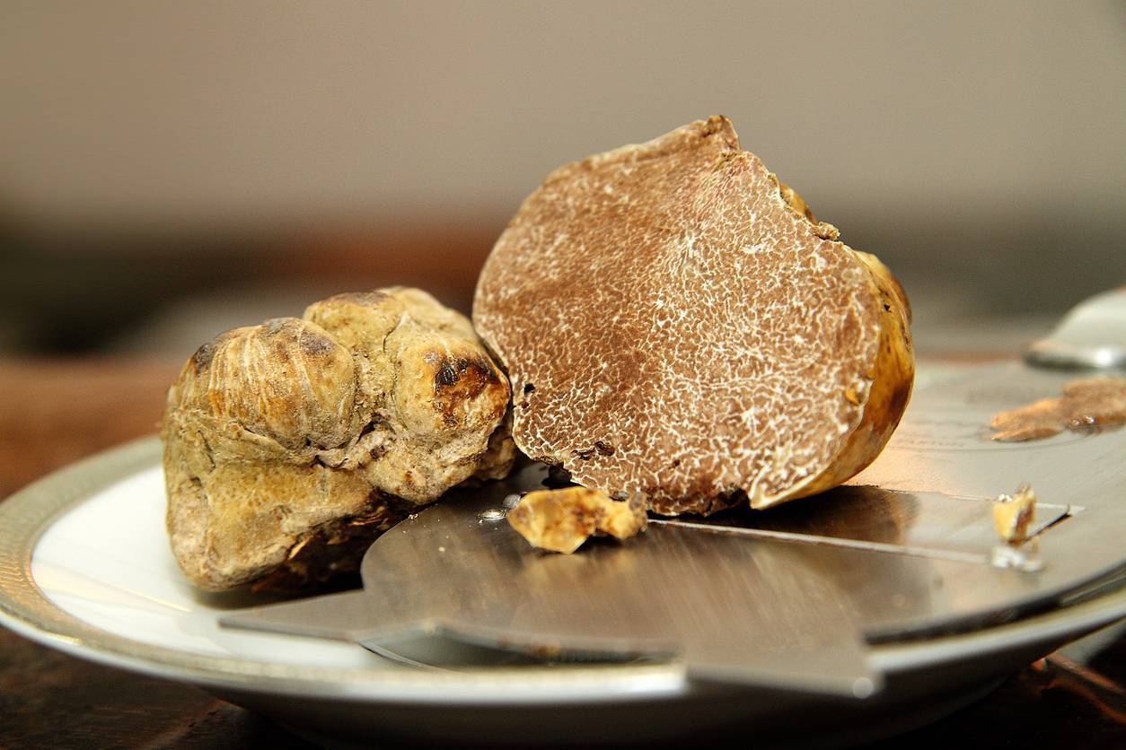 2 recettes \u00e0 la truffe blanche