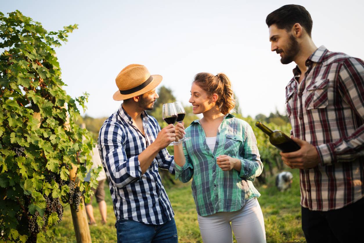 Œnotourisme vignoble vin