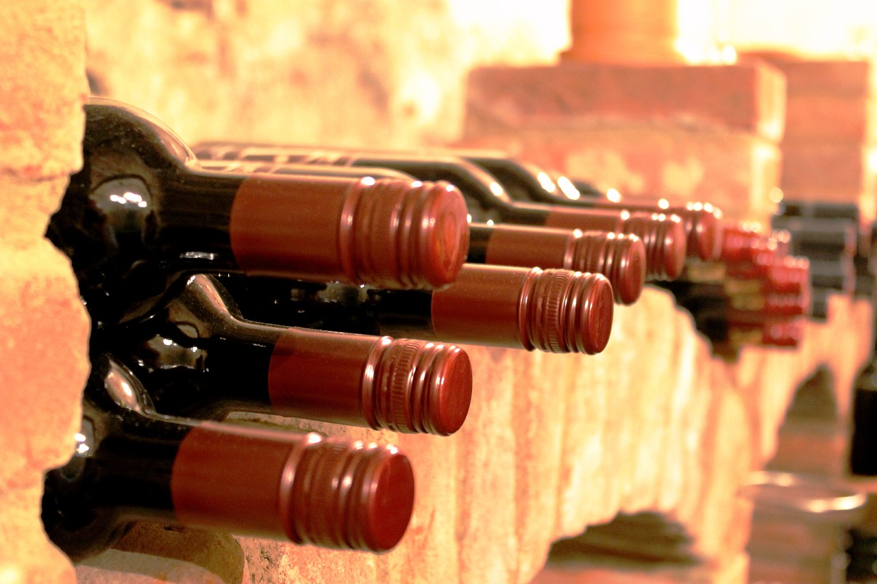 L'importance d'une bonne température dans une cave à vin — free download