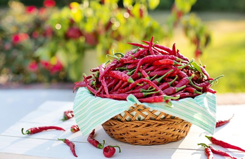 Comment_travailler_avec_les_piments_chipotle_en_conserve_dans_la_sauce_Adobo