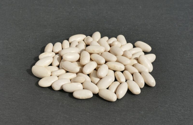 Haricots_blancs_au_romarin