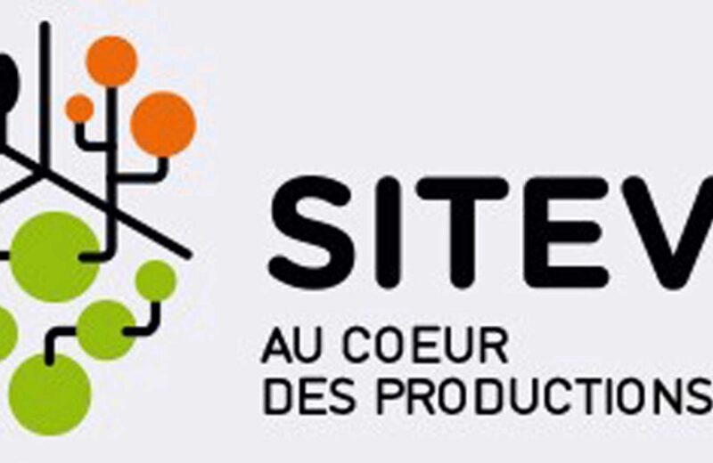 Sitevi