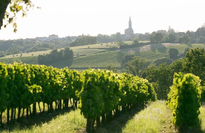 bordeauxprof