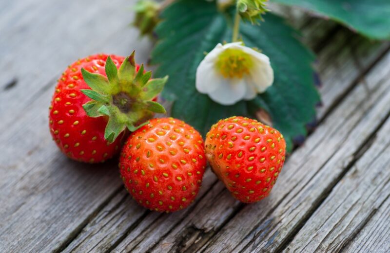 fraise
