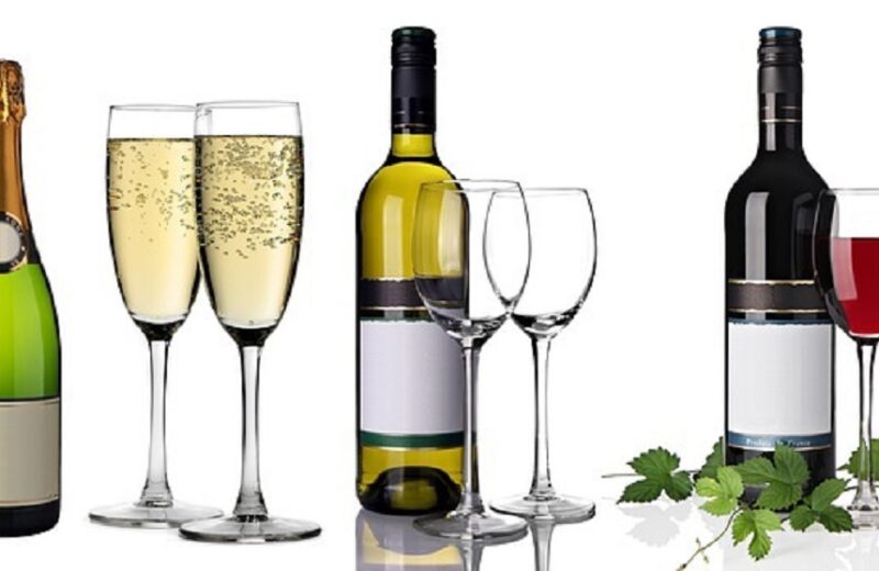 gastronomie vin