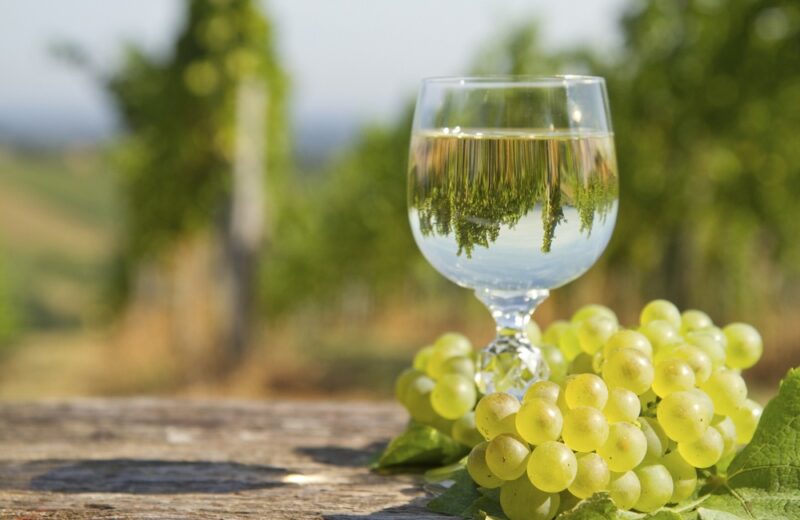 Grapes and wine
