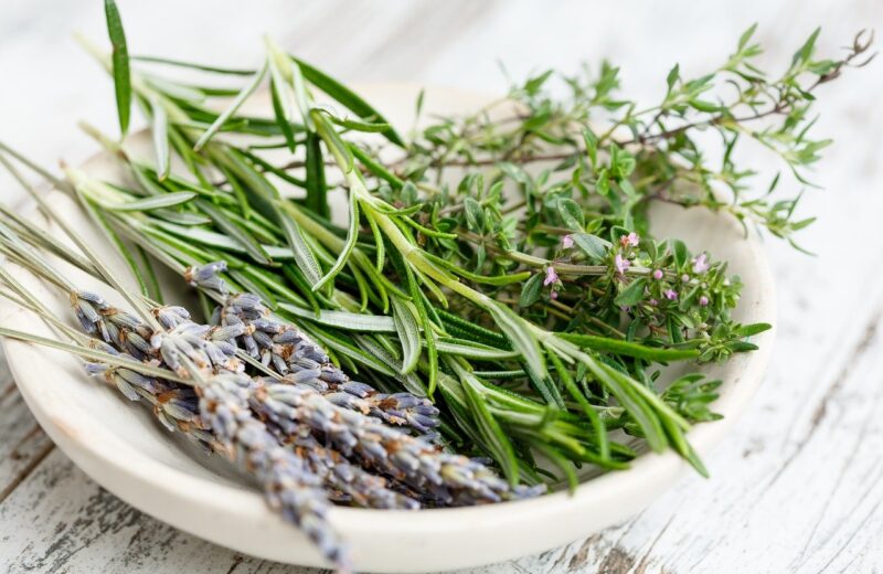 herbes aromatiques