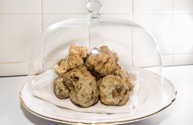 recettes-blanche-truffe-la.jpg