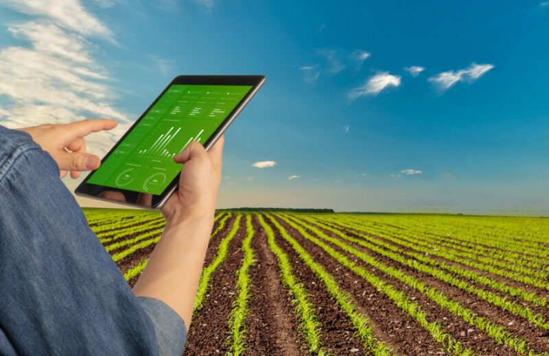 Futuristic,Technology,Trend,In,Smart,Farm,Concept.,Farmer,Use,Ai